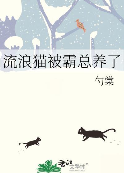 被流浪猫赖上怎么办