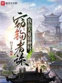 我在大夏窃神权境界划分