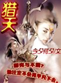 猎天使魔女1攻略
