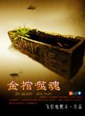 金棺噬魂全集在线观看
