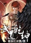 武道乾坤无删减版txt资源