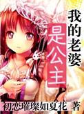 我的老婆是公主安南秀多少章