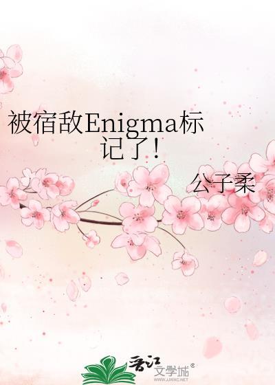 被宿敌Enigma标记了!晋江