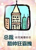 总裁酷帅狂霸拽简介