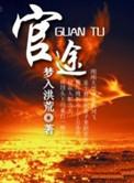 官途权力巅峰全文阅读免费阅读全文