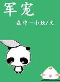 军宠 文