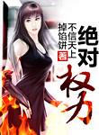绝对权力仕途成长记笔趣阁