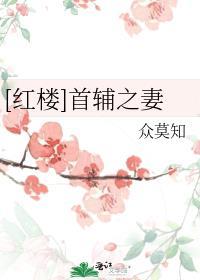 红楼首辅之妻 众莫如