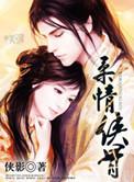 侠骨柔情什么价