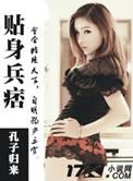 贴身兵王全集