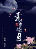 素华映月txt