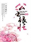 公主很忙2反派的烦恼