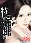 特工重生在校园番外