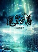 穿越魔皇武尊 百度