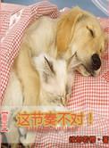 重生之这节奏不对
