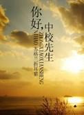 你好中校先生电视剧