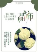 重生未来之幻师 倾落九霄