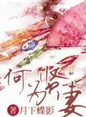 何为贤妻听书
