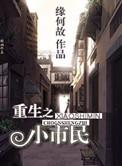 重生之小市民攻前世做了什么