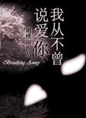我从不曾说爱你全文免费阅读