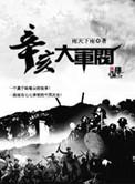 辛亥大军阀txt全集精校版