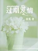 过期爱情歌词解析