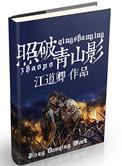 照破青山影讲什么的