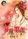 异世墨莲全集