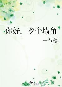你好挖个墙角免费阅读