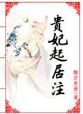 贵妃起居注何仙仙结局