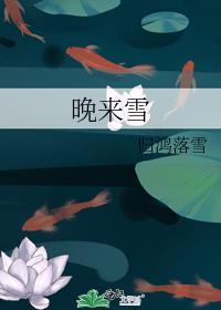 晚来雪归鸿落雪百度