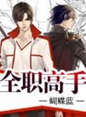 全职高手TXT