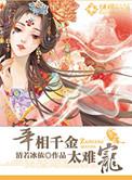 宰相很难追免费阅读