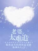 媳妇太难追了怎么办
