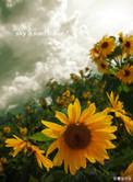 一厘米的阳光 墨宝非宝讲什么