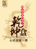 傅家金龙传奇之乾坤盒txt