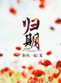 离婚后的重逢故事