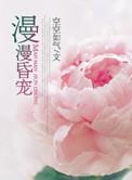 漫漫昏宠txt