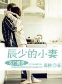 名门大少宠妻无度全文阅读