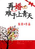 电视剧再婚却