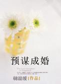 预谋下的婚姻全文阅读