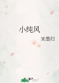 小纯风免费阅读