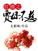 红楼之贾母不慈免费阅读