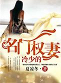 名门婚事冷少可婷