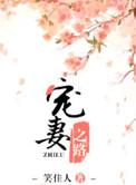 宠妻之路笑佳人TXT