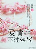爱情不过如此全文免费阅读无弹窗