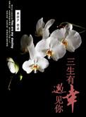 纵使悲凉也是情
