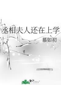 丞相夫人还在上学慕如初