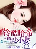 冷酷暗帝的小小妻 一夜之灵