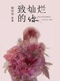 致灿烂的你 随侯珠晋江